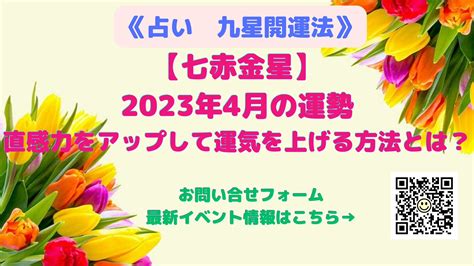 七赤|七赤(シチセキ)とは？ 意味や使い方